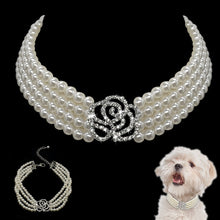 Load image into Gallery viewer, Fashion Puppy Small Jeweller
