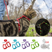 Load image into Gallery viewer, Nylon Reflective Cat