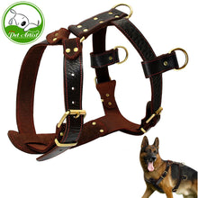 Load image into Gallery viewer, Leather Dog Harness