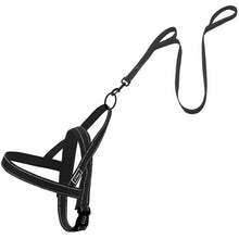 Load image into Gallery viewer, No Pull Reflective Dog Harness Leash