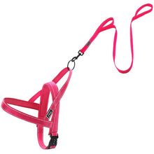 Load image into Gallery viewer, No Pull Reflective Dog Harness Leash