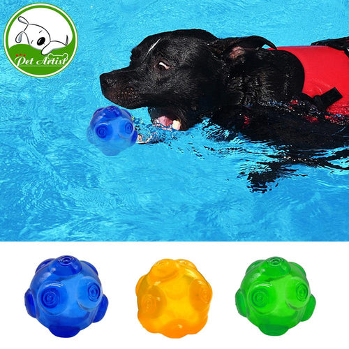 Chew Dog Toys  Waterproof Ball