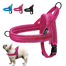 Load image into Gallery viewer, Nylon Reflective Pet