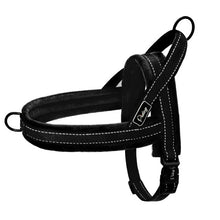 Load image into Gallery viewer, Nylon Reflective Pet