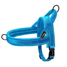 Load image into Gallery viewer, Nylon Reflective Pet