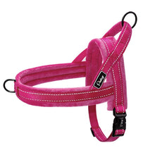 Load image into Gallery viewer, Nylon Reflective Pet