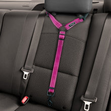 Load image into Gallery viewer, Dog Seat Belt Leash